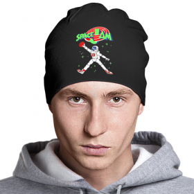 beanie с принтом Space Jam в Сыктывкаре,  |  | 