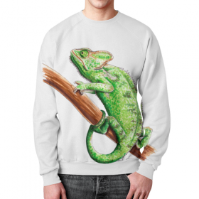 full_print_sweatshirt с принтом Зеленый хамелеон на ветке в Сыктывкаре,  |  | 