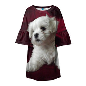 Детское платье 3D с принтом Мальтийская болонка в Сыктывкаре, 100% полиэстер | прямой силуэт, чуть расширенный к низу. Круглая горловина, на рукавах — воланы | животное | мальтийская болонка | порода | собака