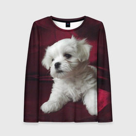 Женский лонгслив 3D с принтом Мальтийская болонка в Сыктывкаре, 100% полиэстер | длинные рукава, круглый вырез горловины, полуприлегающий силуэт | животное | мальтийская болонка | порода | собака