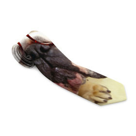 Галстук 3D с принтом Бульдог в очках в Сыктывкаре, 100% полиэстер | Длина 148 см; Плотность 150-180 г/м2 | Тематика изображения на принте: бульдог в очках | домашнее | животное | очки | пес | прикол | собака | умный | ученый