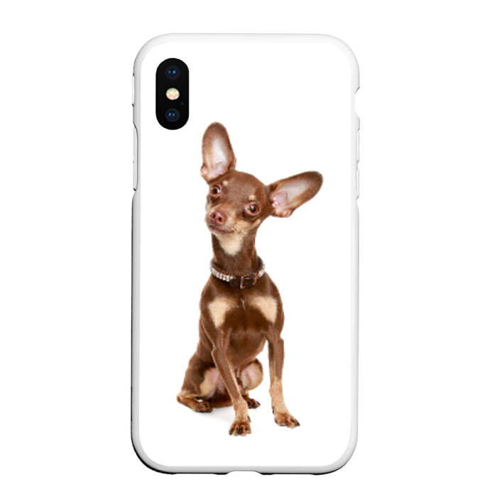 Чехол для iPhone XS Max матовый Той-терьер фото